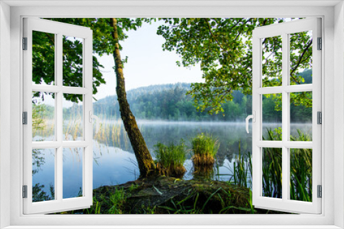 Fototapeta Naklejka Na Ścianę Okno 3D - Morning at the lake