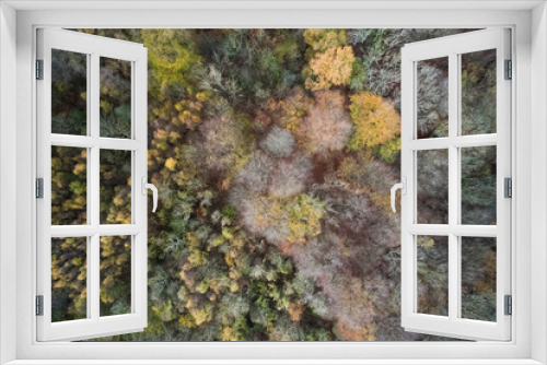 Fototapeta Naklejka Na Ścianę Okno 3D - Aerial photo of woods