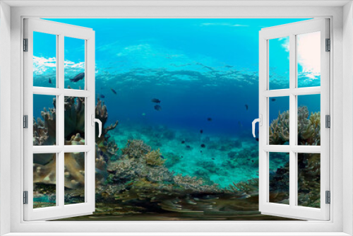 Fototapeta Naklejka Na Ścianę Okno 3D - Coral reef underwater with fishes and marine life. Coral reef and tropical fish. Philippines. Virtual Reality 360.