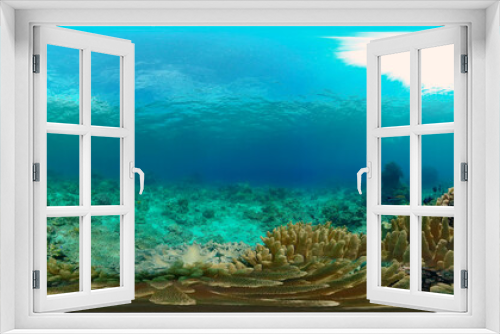 Fototapeta Naklejka Na Ścianę Okno 3D - Coral reef and tropical fishes. Coral Reef and Fishes Underwater. The underwater world of the Philippines. 360 panorama VR