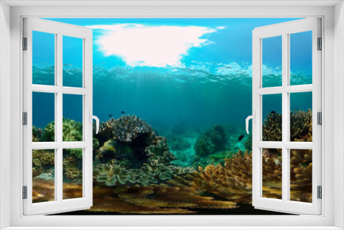 Fototapeta Naklejka Na Ścianę Okno 3D - Coral reef underwater with tropical fish. Hard and soft corals, underwater landscape. Tropical underwater sea fish. Philippines. Virtual Reality 360.