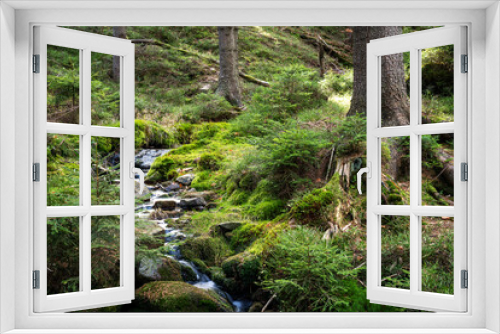 Fototapeta Naklejka Na Ścianę Okno 3D - Green forest landscape