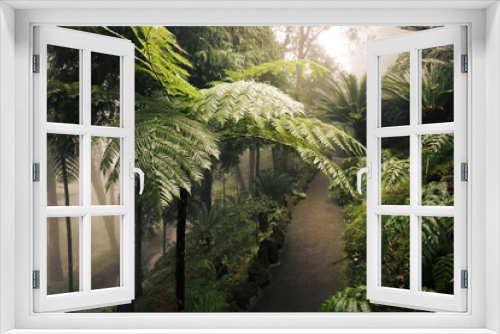 Fototapeta Naklejka Na Ścianę Okno 3D - Road in the tropical forest