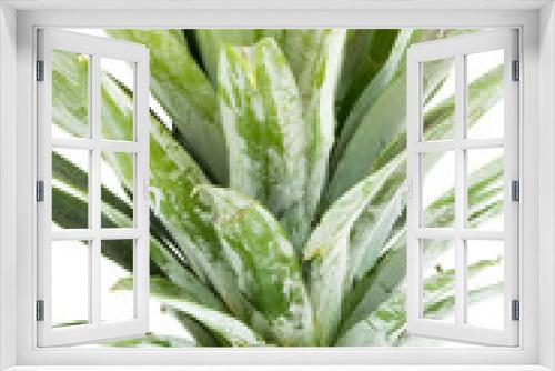 Fototapeta Naklejka Na Ścianę Okno 3D - Pineapple on white background with clipping path