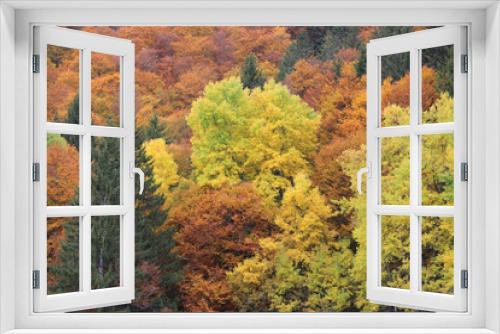 Fototapeta Naklejka Na Ścianę Okno 3D - Herbst im Schwarzwald