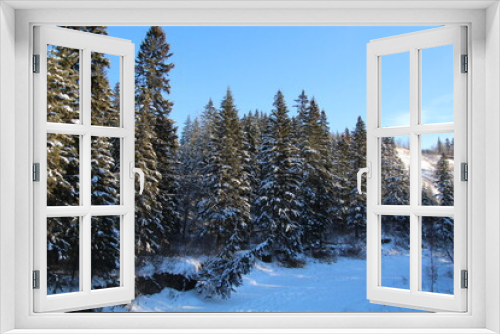 Fototapeta Naklejka Na Ścianę Okno 3D - Snowy Forest, Whitemud Park, Edmonton, Alberta