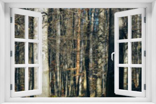 Fototapeta Naklejka Na Ścianę Okno 3D - Herbstwald, weiches natürliches Licht, Buchen