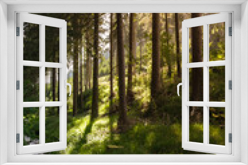 Fototapeta Naklejka Na Ścianę Okno 3D - Sonnenaufgang im Wald mit Dunst