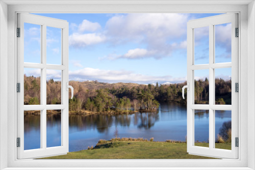 Fototapeta Naklejka Na Ścianę Okno 3D - Tarn Hows in the Lake District, on a sunny and cold winter day