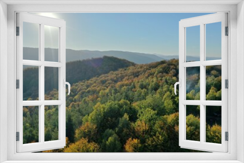 Autumn beech forests from a height, autumn in the mountains, autumn landscape in the mountains of Ukraine,