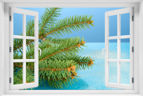 Fototapeta Naklejka Na Ścianę Okno 3D - beautiful fir tree, on blue background