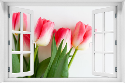 Fototapeta Naklejka Na Ścianę Okno 3D - Pink tulip flowers bouquet on white background. Flat lay, top view. Selective focus. Shallow depth of field