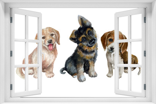 Fototapeta Naklejka Na Ścianę Okno 3D - Three cute puppies are