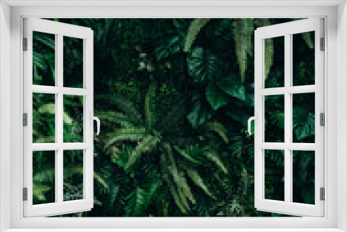 Fototapeta Naklejka Na Ścianę Okno 3D - background green fern, a variety of plants