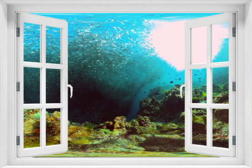 Fototapeta Naklejka Na Ścianę Okno 3D - Coral garden seascape and underwater world. Colorful tropical coral reefs. Life coral reef. Philippines. 360 panorama VR