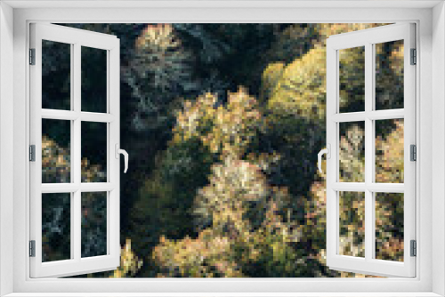 Fototapeta Naklejka Na Ścianę Okno 3D - Top view of a deciduous forest in late autumn