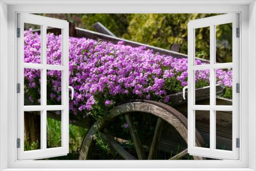 Fototapeta Naklejka Na Ścianę Okno 3D - wóz z kwiatami w ogrodzie