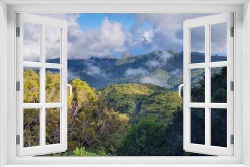 Fototapeta Naklejka Na Ścianę Okno 3D - Road through rainforest, top of La Gomera, Canary Islands, Spain