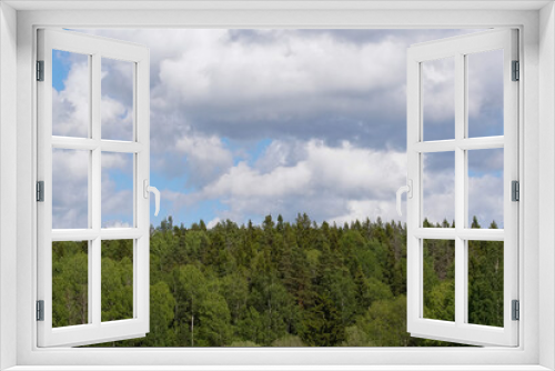 Fototapeta Naklejka Na Ścianę Okno 3D - forest and sky