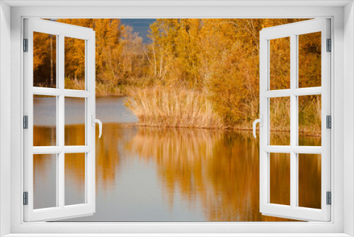 Fototapeta Naklejka Na Ścianę Okno 3D - Landscape of trees reflected in the lake, nature background.