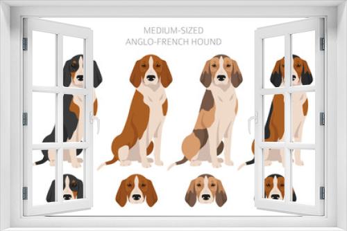 Fototapeta Naklejka Na Ścianę Okno 3D - Medium sized Anglo-French hound clipart. Different poses, coat colors set
