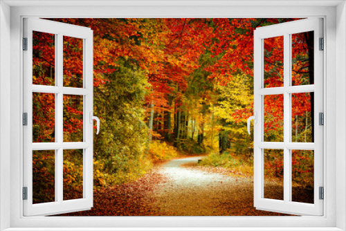 Fototapeta Naklejka Na Ścianę Okno 3D - Wonderful autumn landscape. Beautiful romantic alley near popular alpine lake Grundlsee with colorful trees. Scenic image of forest landscape at sunny day. stunning nature background