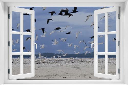 Fototapeta Naklejka Na Ścianę Okno 3D - Bird