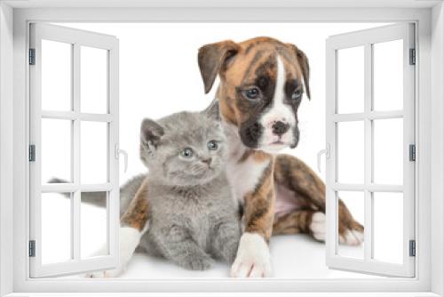 Fototapeta Naklejka Na Ścianę Okno 3D - Friendly German Boxer puppy dog hugs tiny kitten. isolated on white background