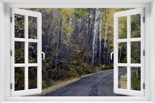 Fototapeta Naklejka Na Ścianę Okno 3D -  South Road Early Autumn