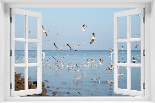 Fototapeta Naklejka Na Ścianę Okno 3D - Black-headed gulls (Lasus atlanticus) in flight on seaside