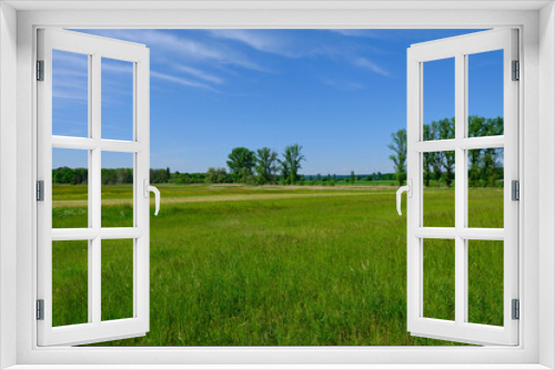 Fototapeta Naklejka Na Ścianę Okno 3D - Landschaft am Waldgebiet Schopfig bei Grettstadt, Landkreis Schweinfurt, Unterfranken, Bayern, Deutschland