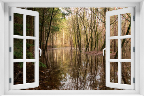 Fototapeta Naklejka Na Ścianę Okno 3D - Flooded Forrest after long period of rain