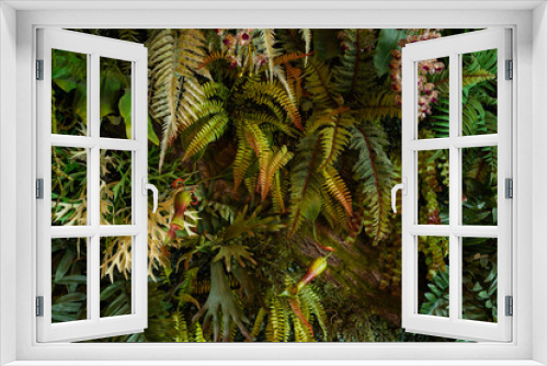 Fototapeta Naklejka Na Ścianę Okno 3D - Full Frame of colorful Leaves Pattern Background, Nature Lush Foliage Leaf Texture, tropical leaf
