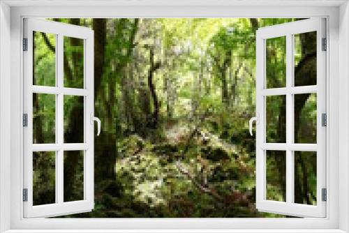 Fototapeta Naklejka Na Ścianę Okno 3D - dense primeval forest in spring