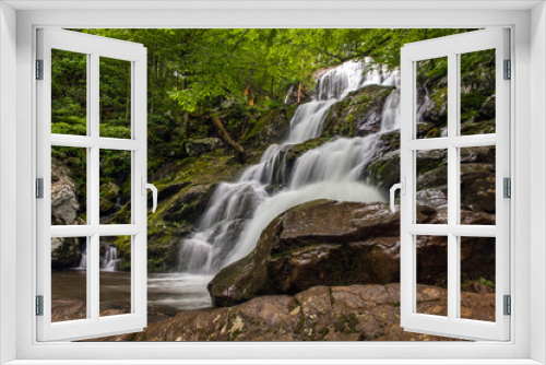 Fototapeta Naklejka Na Ścianę Okno 3D - Beautiful Dark Hollow Falls in Shenandoah National Park, Virginia USA.