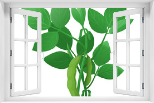 Fototapeta Naklejka Na Ścianę Okno 3D - One green soybean plant with pods isolated on white, genetically modified plant illustration