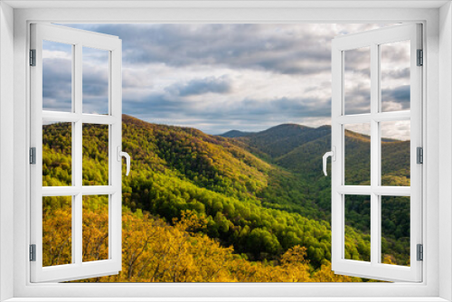 Fototapeta Naklejka Na Ścianę Okno 3D - Spring Has Arrived in the Appalachian Mountains, Virginia USA, Virginia