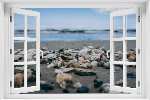 Fototapeta Naklejka Na Ścianę Okno 3D - Morze z muszelkami