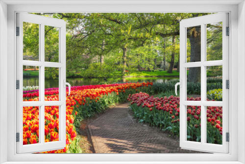 Fototapeta Naklejka Na Ścianę Okno 3D - Beautiful scenery in Keukenhof royal flower garden in the Netherlands with beautiful flowerbeds and no people