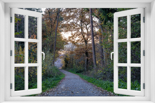 Fototapeta Naklejka Na Ścianę Okno 3D - Woodland lane through the colorful autumn forest