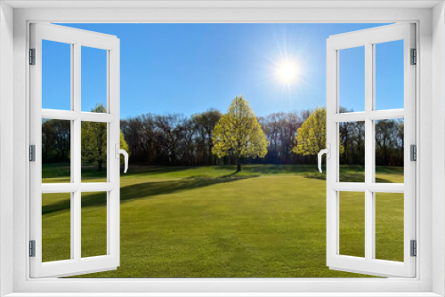 Fototapeta Naklejka Na Ścianę Okno 3D - golf course in the sunny morning