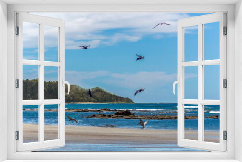 Fototapeta Naklejka Na Ścianę Okno 3D - seascape with pelicans and seagulls flying