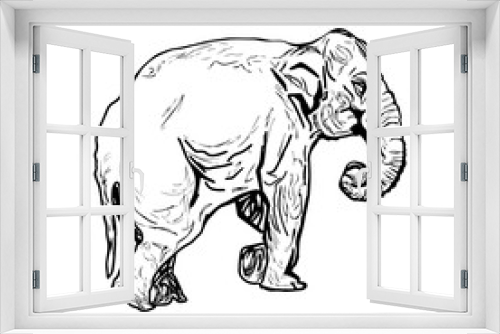 Fototapeta Naklejka Na Ścianę Okno 3D - Sketch silhouette elephant. Hand drawn elephant. Design black color outline animal isolated on white background. Simple graphic. Portrait vintage style. Cute drawing picture. Vector illustration