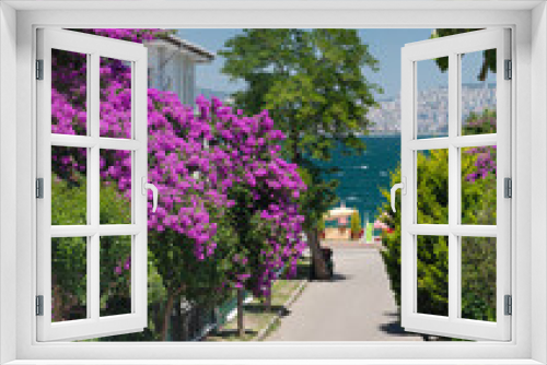 Fototapeta Naklejka Na Ścianę Okno 3D - A path with beautiful blooming gardens and old house and views of the Marmara Sea on the Adalar Islands. Istanbul