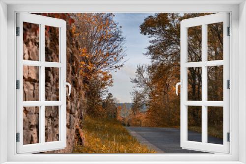 Fototapeta Naklejka Na Ścianę Okno 3D - Kleine Straße mit Stützmauer im Herbst eingefasst von an einem Hang