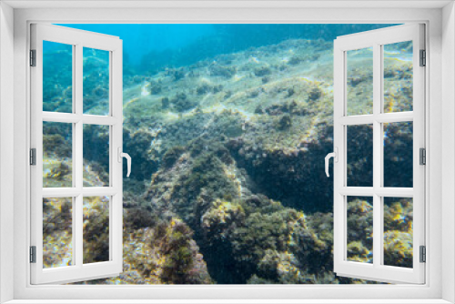 Fototapeta Naklejka Na Ścianę Okno 3D - Fondale marino isola bella Taormina