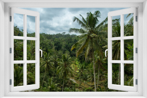 Fototapeta Naklejka Na Ścianę Okno 3D - Exotic landscape of palm trees and rice terraces in Bali