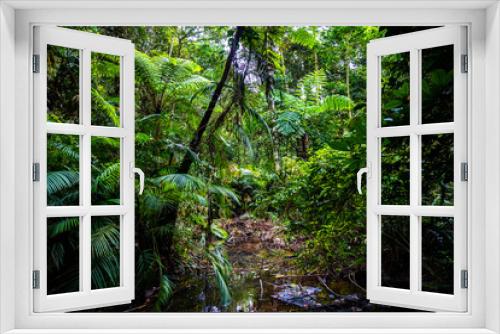 Fototapeta Naklejka Na Ścianę Okno 3D - atherton tablelands landscape on the way to nandroya falls; dense rainforest full of unique plants