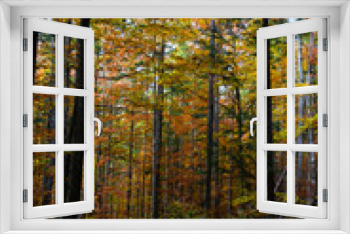 Fototapeta Naklejka Na Ścianę Okno 3D - beautiful autumn beech forest. Carpathians in Ukraine. Dovbush rocks