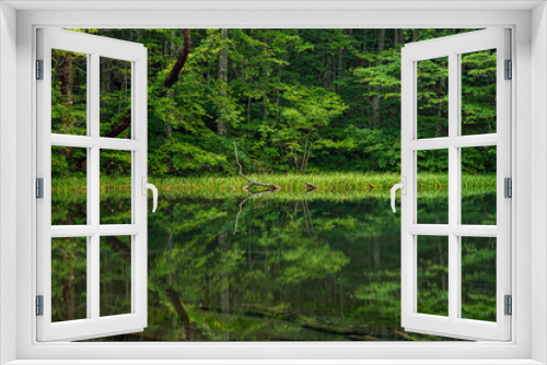 Fototapeta Naklejka Na Ścianę Okno 3D - lake in the woods